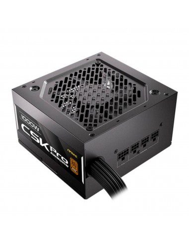 Fuente de Poder Antec CSK1000 PRO EC...