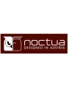 Noctua